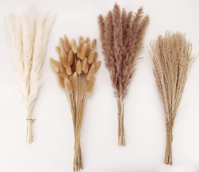 Pampas Grass Decor: Elevate Your Space with Nature's Elegance