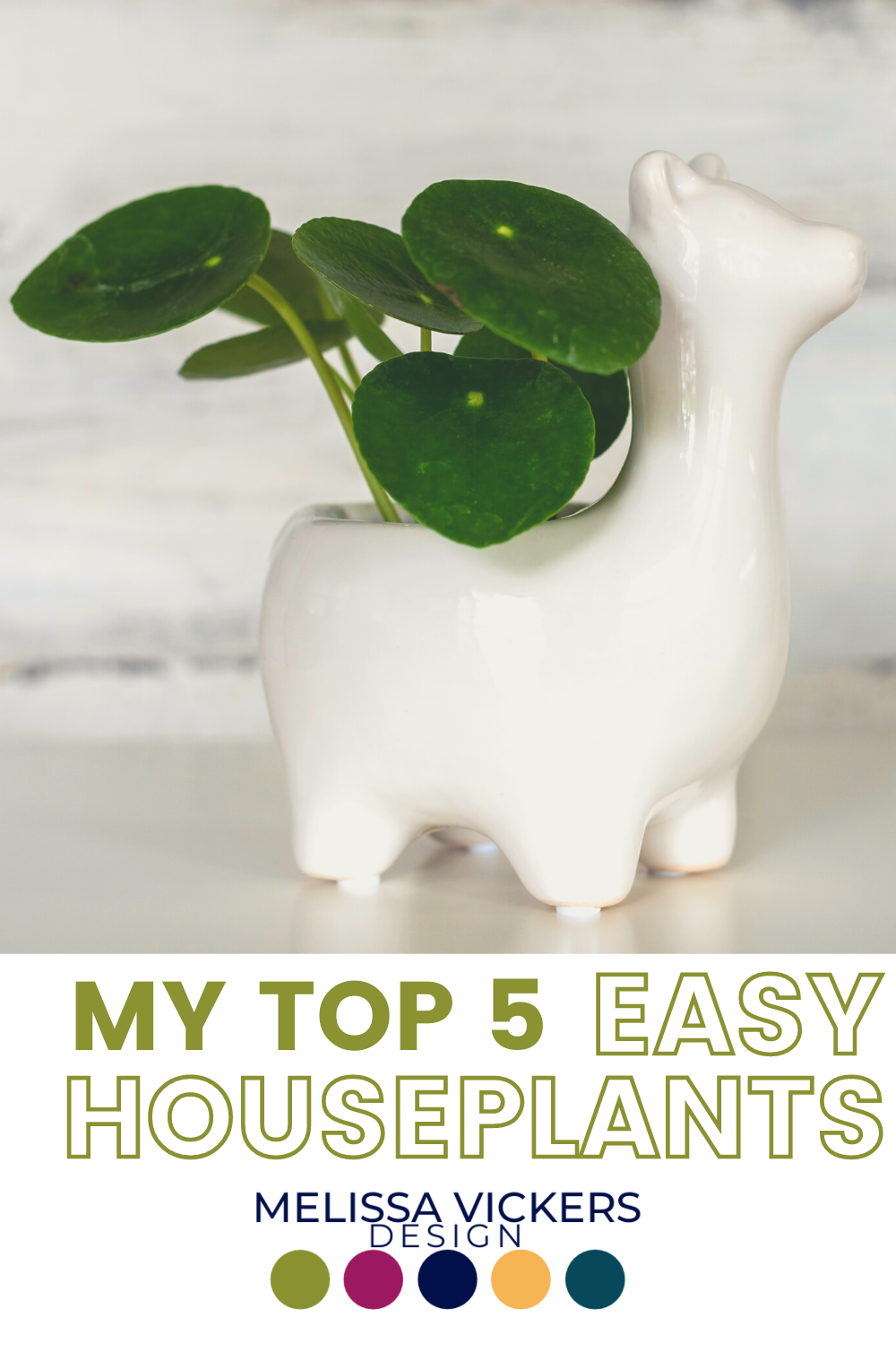 Top 5 Easy House Plants