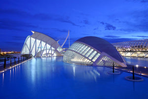 city of the arts and sciences valencia spain at night aerial