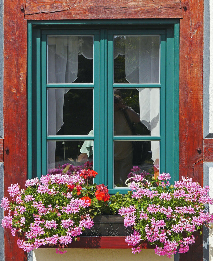 Can You Paint Vinyl Windows? Expert Tips Revealed