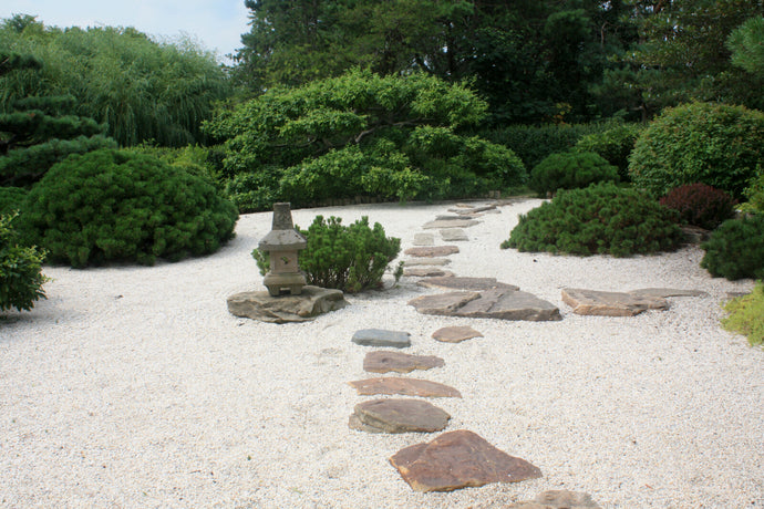 Zen Garden Ideas on a Budget: Tranquility on a Dime